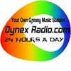 undefined Dynex Radio