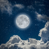 undefined Bluenightshadow