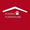 undefined foxies-funhouse