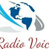 undefined Radio Voice