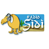 undefined radiosidi
