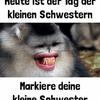 undefined Sguenther Moeth