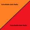 undefined voiceradio