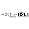 undefined Positiva 101.1 FM