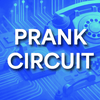 undefined Prank Circuit Radio
