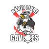 undefined Rádio Livre Gaviões