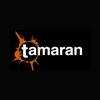 undefined Radio Tamaran FM 91.3