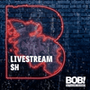 undefined RADIO BOB! rockt Schleswig-Holstein