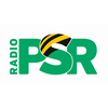 undefined RADIO PSR