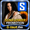 undefined Sunflower Promotion - New Hits