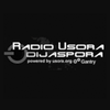 undefined Radio Usora Dijaspora - Folk 