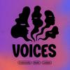 undefined Voices Radio