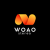 undefined WOAO STEREO