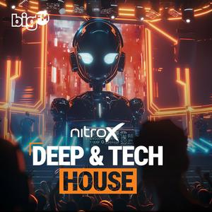 Listen to bigFM Deep & Tech House in the App