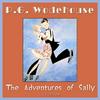 undefined The Adventures of Sally by P. G. Wodehouse