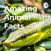 undefined Amazing Animal Facts