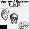 undefined Anatomy and Physiology - Bit by Bit