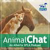 undefined AnimalChat - An Alberta SPCA Podcast