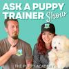 undefined Ask A Puppy Trainer Show