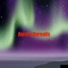 undefined Aurora Borealis now and Forever