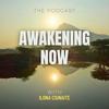 undefined Awakening Now