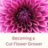 undefined Becoming a Cut Flower Grower