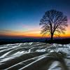 undefined Boring Stories To Fall Asleep