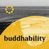 undefined Buddhability