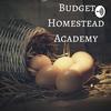undefined Budget Homestead Academy