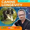 undefined Canine Longevity