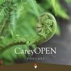 undefined CareyOPEN