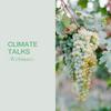 undefined Climate Talks by Porto Protocol