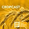 undefined CropCast