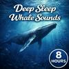 undefined Deep Sleep Whale Sounds: Soothing Ocean Ambience for Sleep, Relaxation, Meditation, and Stress Relief
