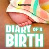 undefined Diary Of A Birth