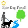 undefined Epic Dog Facts!