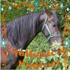undefined Equilogical Podcast