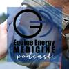 undefined Equine Energy Medicine