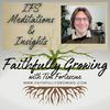 undefined Internal Family Systems (IFS) Meditations and Insights: Faithfully Growing with Tim Fortescue