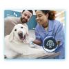 undefined Focal Point: the Vet Solutions podcast