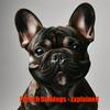 undefined French Bulldogs - Explained