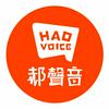 undefined 郝聲音
