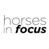 undefined Horses in Focus: An Equine Photography Podcast