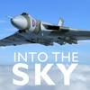 undefined Into The Sky