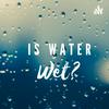 undefined Is water wet?