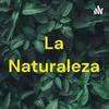 undefined La Naturaleza