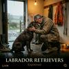 undefined Labrador Retrievers Explained: