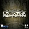 undefined Law & Order: Criminal Justice System - Season 1 & Season 2