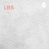 undefined LBS: culturally sustaining pedagogies