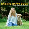 undefined Raising Happy Dogs with Sarah Hodgson